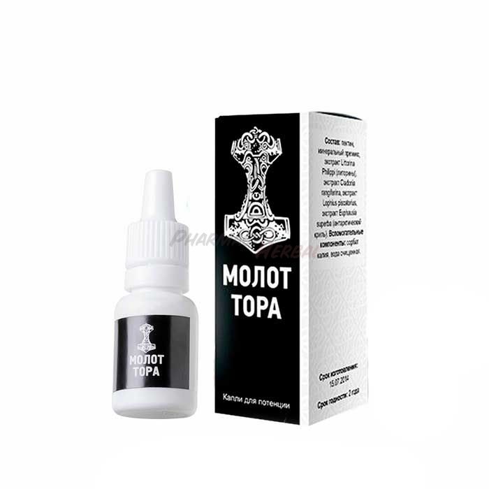 Molot Tora ◦ drops for potency ◦ in Svetlogorsk