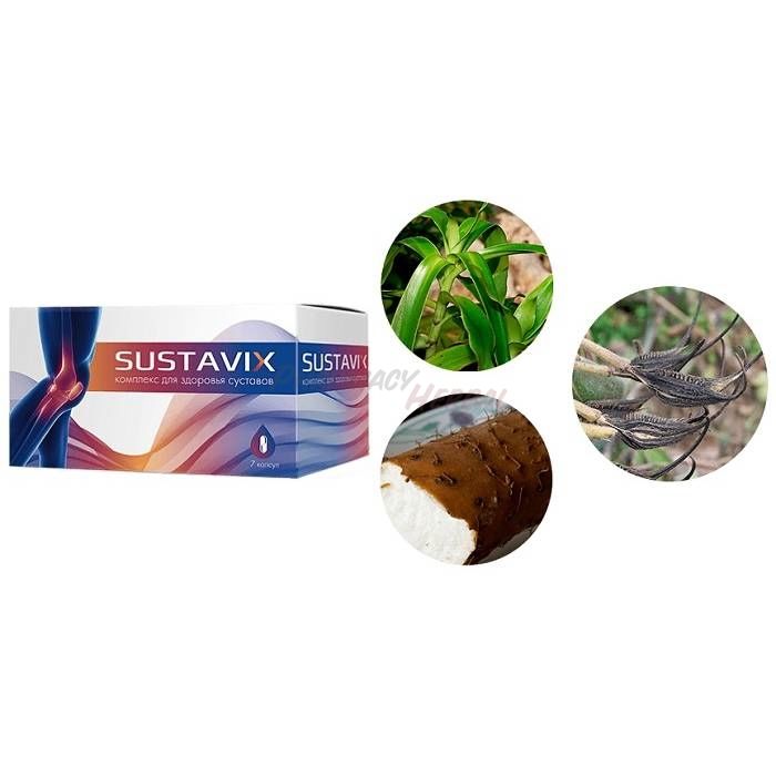 Sustavix ◦ complex for joint health ◦ In Volgograd