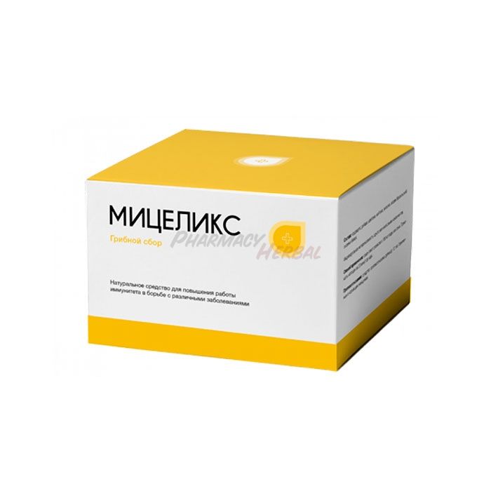 Miceliks (Мицеликс) ◦ грибной сбор от диабета ◦ в Кызыле-Кии